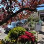 Leura Village