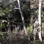 Nambucca Heads Swimming Creek