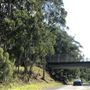 Nambucca Heads