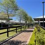 The William Inglis - Sales Arena, Stables, Gallery Suites, Garden Pavilion, Big Barn & Hotel