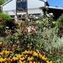 Hartvale Gardens and Cottage