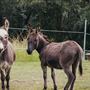 Hunter River Retreat