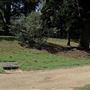 Vaucluse House