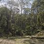 Glenworth Valley Wilderness Adventures