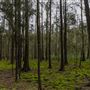 Glenworth Valley Wilderness Adventures