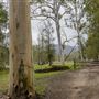 Glenworth Valley Wilderness Adventures