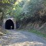 Picton Mushroom Tunnel