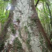 Boorganna Nature Reserve