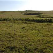 Brooks Point