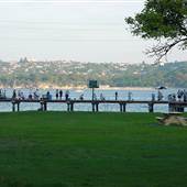 Clifton Gardens Reserve