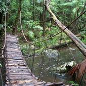 Falls Forest Retreat