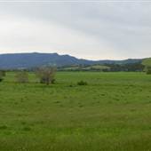 Jamberoo - Swamp & Jamberoo Roads