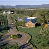 Pepper Tree Estate & Winery