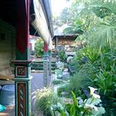 Margaritaville Gallery