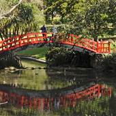 Wollongong Botanic Garden