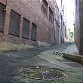 Surry Hills - Sophia Lane