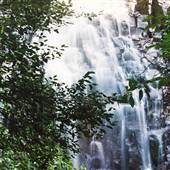 Tristania Falls - Dorrigo National Park