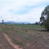 Baradine to Coonabarabran road