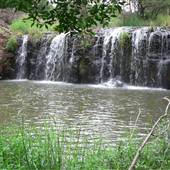 Cascade Falls Farm