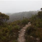 Mt Banks