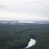 Bundjalung National Park