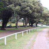 Centennial Park - Equestrian Grounds