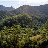 Tunsted Private Property Crystal Creek Valley