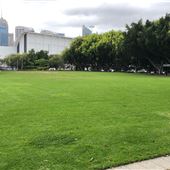 Pyrmont Bay Park