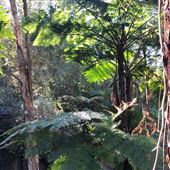 Trumper Park