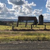 Bolong Farms