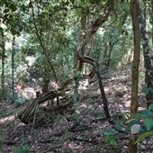 Otford Farm - Jungle Set Build Site
