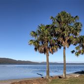 Tiona Holiday Park