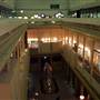 Australian Museum