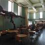 Australian Museum