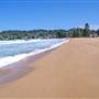 Avoca Beach