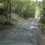 Albion Park - Yellow Rock Road