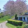Alstonville