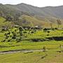 Armidale to Kempsey Road