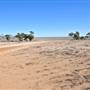Balranald Area
