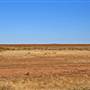Balranald Area