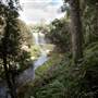 Bellinger Valley