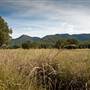 Bellinger Valley
