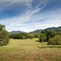 Bellinger Valley