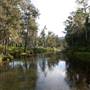 Bellinger Valley