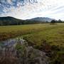 Bellinger Valley