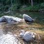 Bellinger Valley