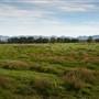 Bellinger Valley