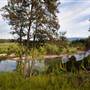 Bellinger Valley