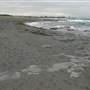 Black Sand Beach, Bass Point Reserve & Shell Cove