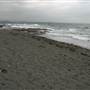Black Sand Beach, Bass Point Reserve & Shell Cove
